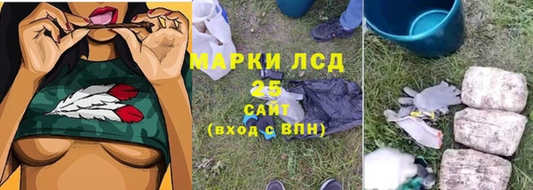 PSILOCYBIN Балахна