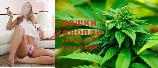 PSILOCYBIN Балахна