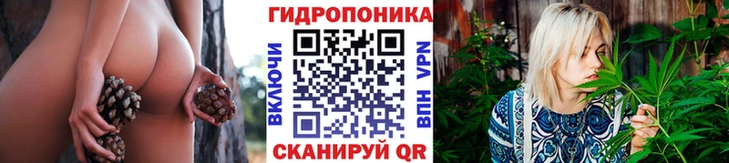 Шишки марихуана VHQ Сухой Лог